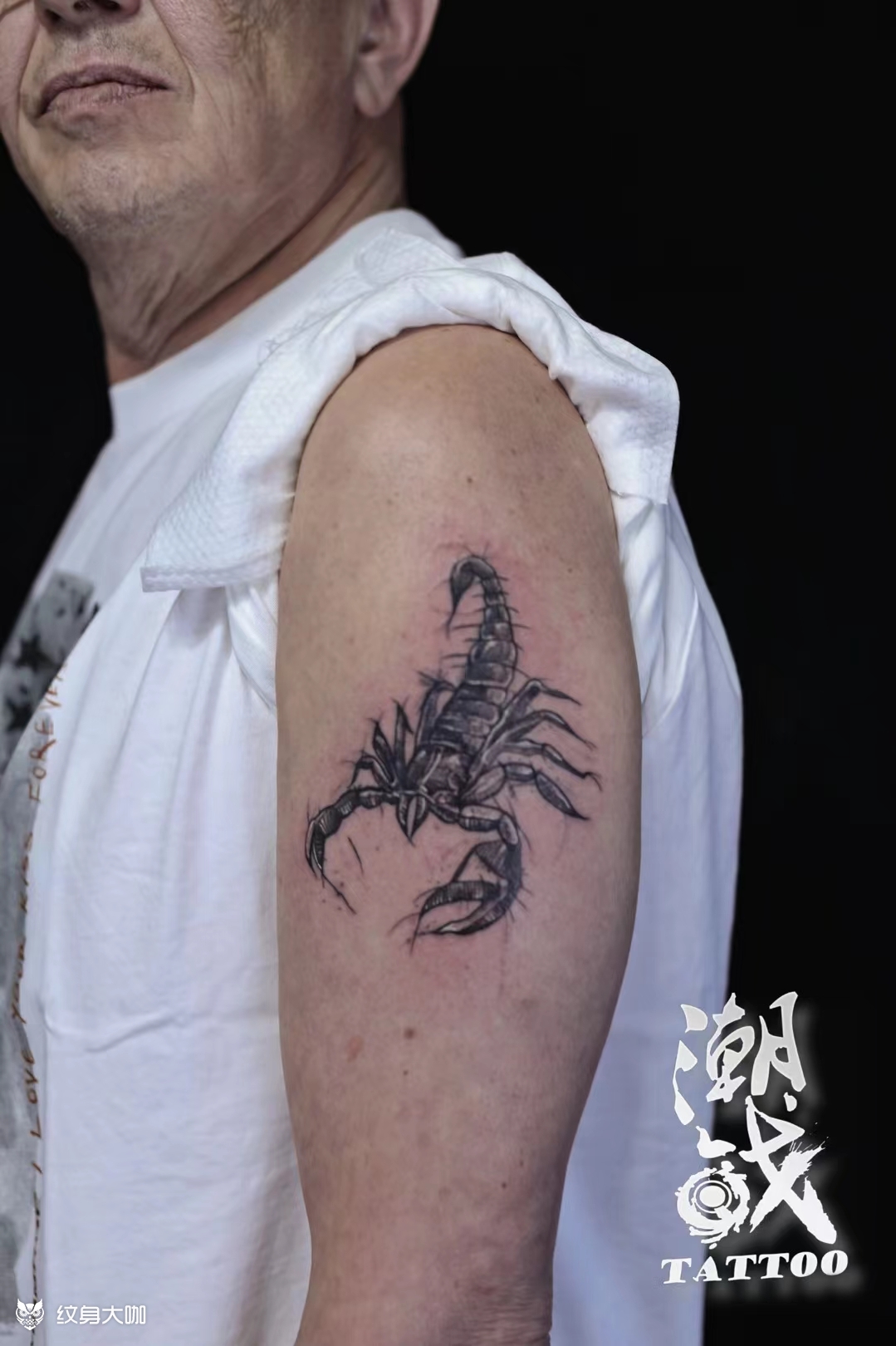 蝎子纹身胳膊图片