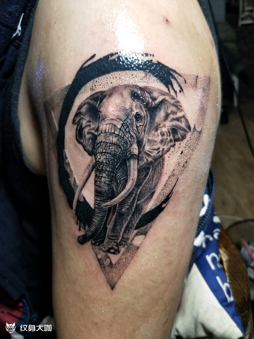 大象_纹身图案手稿图片_俊辰的纹身作品集