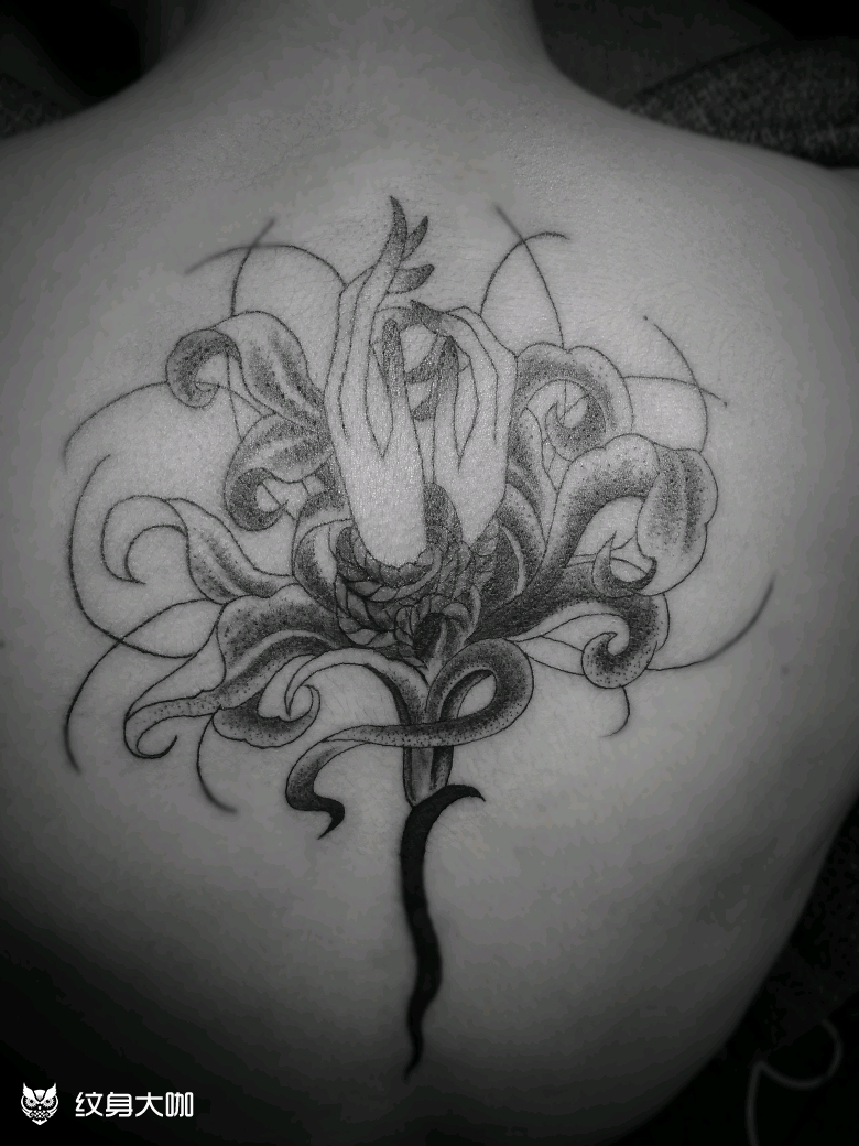 彼岸花开开彼岸,奈何桥前可奈何_纹身图案手稿图片_杨飞燕的纹身作品