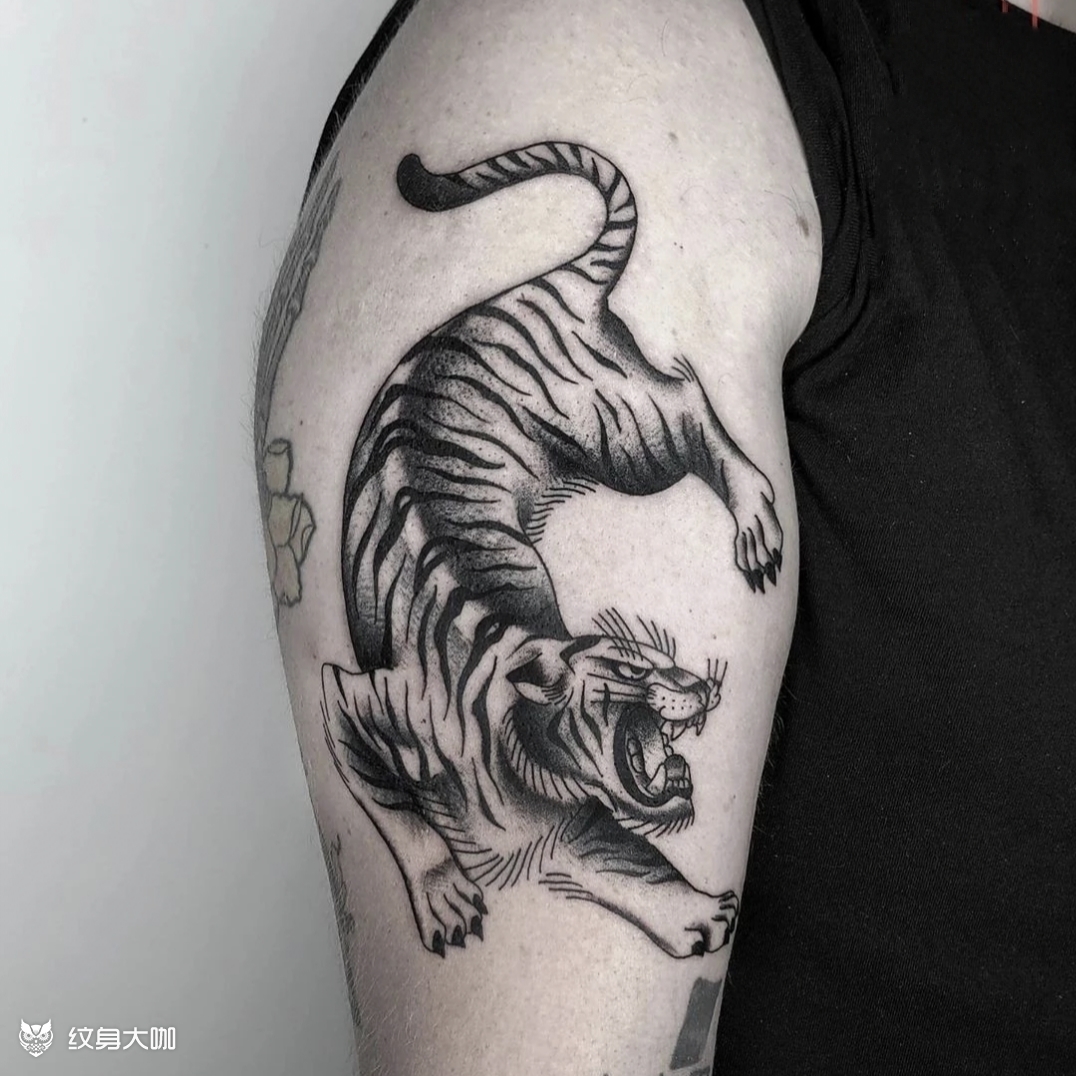 下山虎_纹身图案手稿图片_盘龙tattoo—酒的纹身作品集