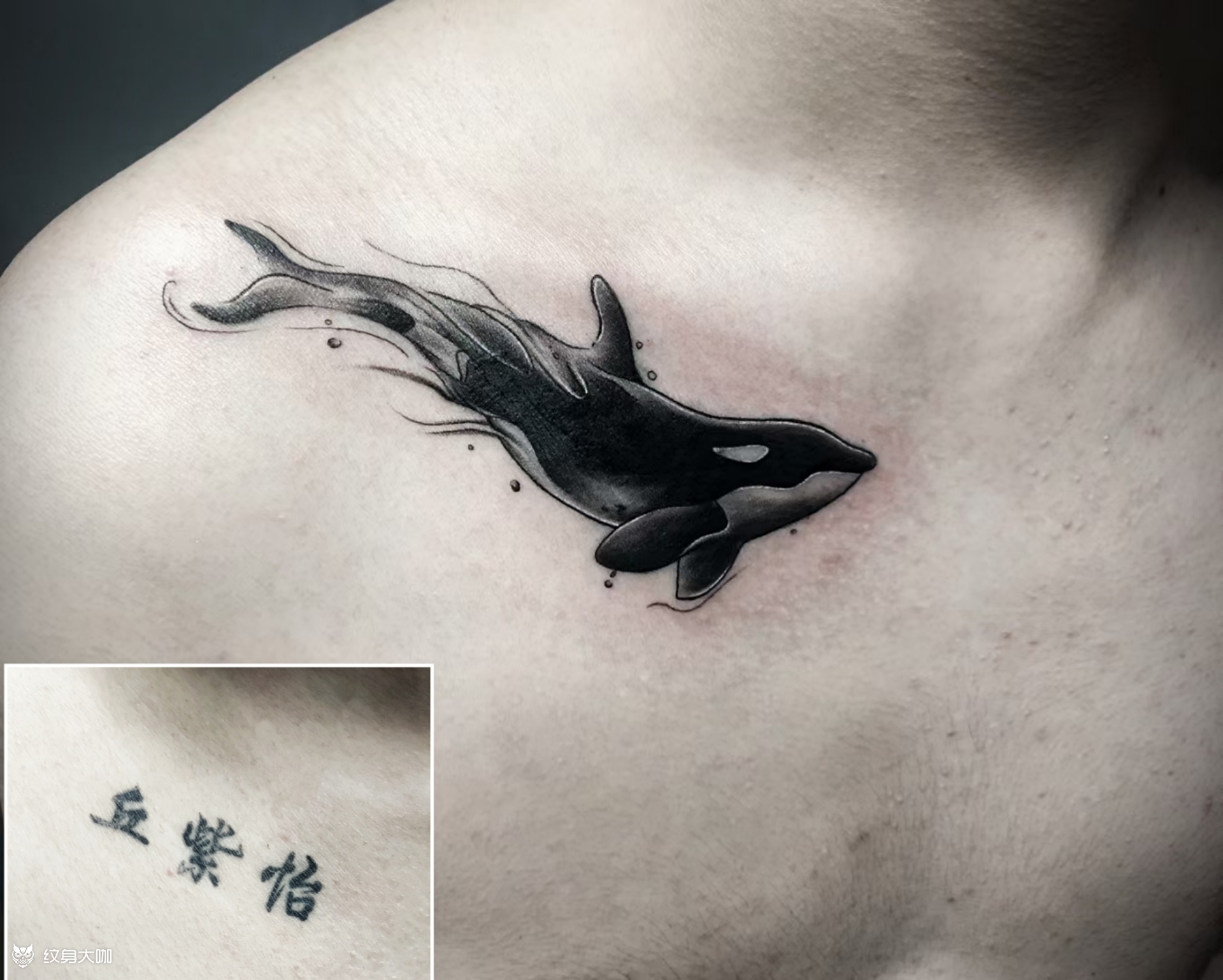 鲸鱼_纹身图案手稿图片_小霜的纹身作品集