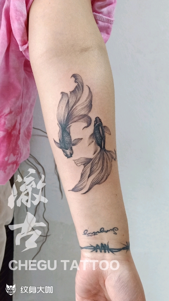 鱼_纹身图案手稿图片_李欣的纹身作品集