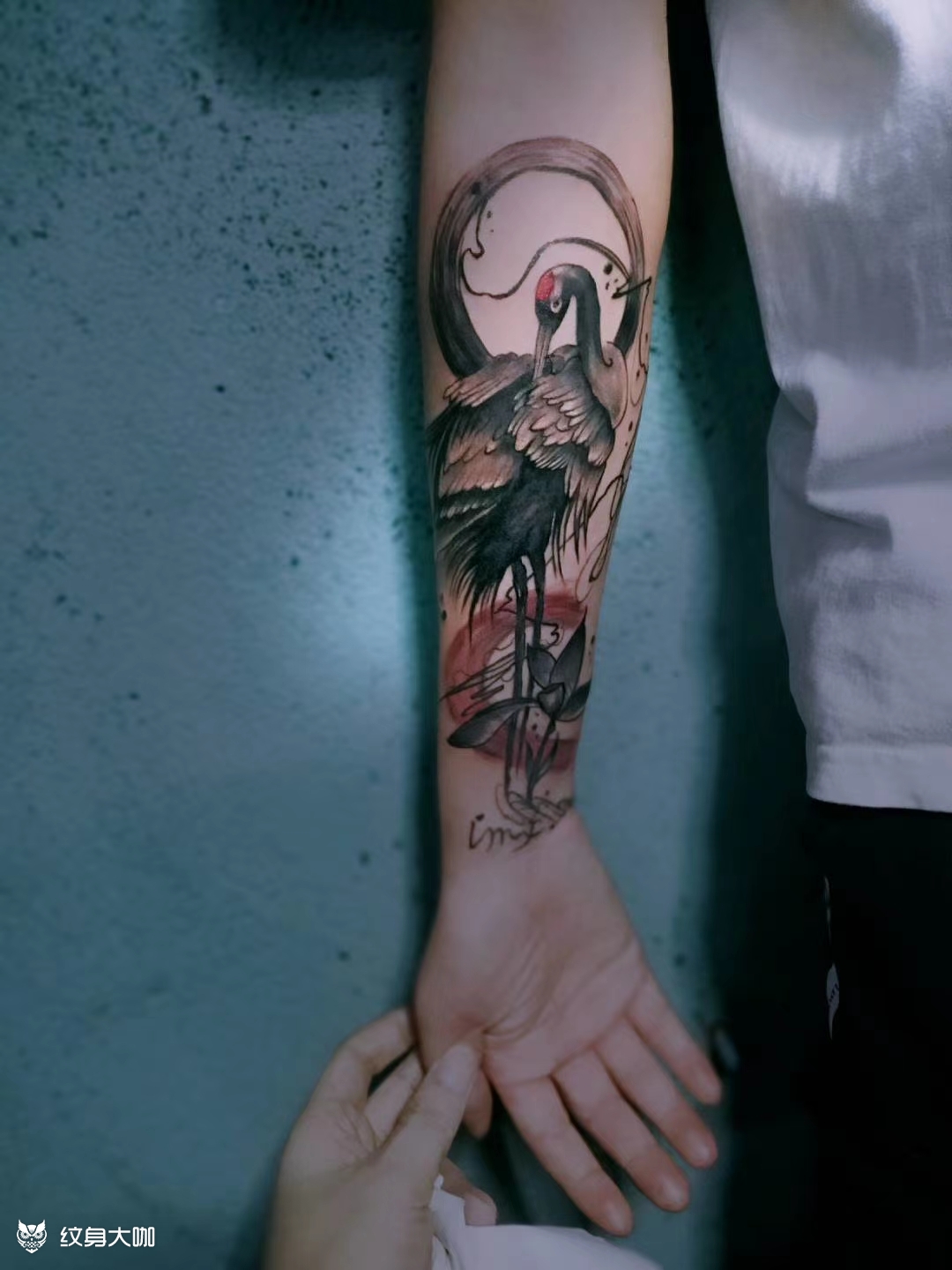 鹤_纹身图案手稿图片_花姐的纹身作品集