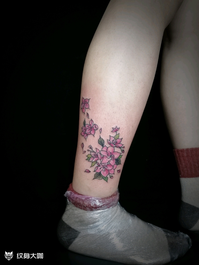 小腿彩色樱花_纹身图案手稿图片_灰社-家兴的纹身作品集