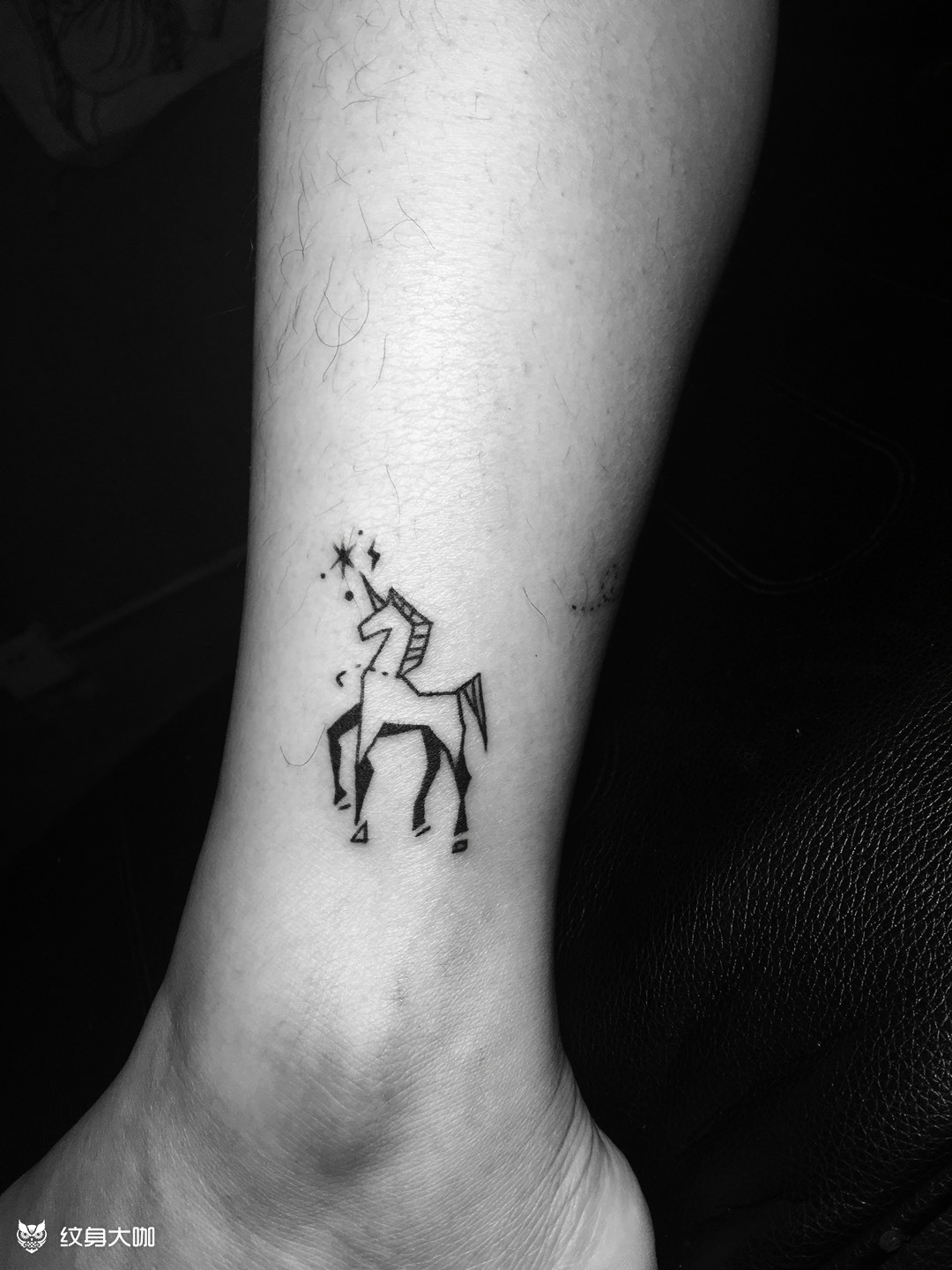 小马_纹身图案手稿图片_紫龙的纹身作品集