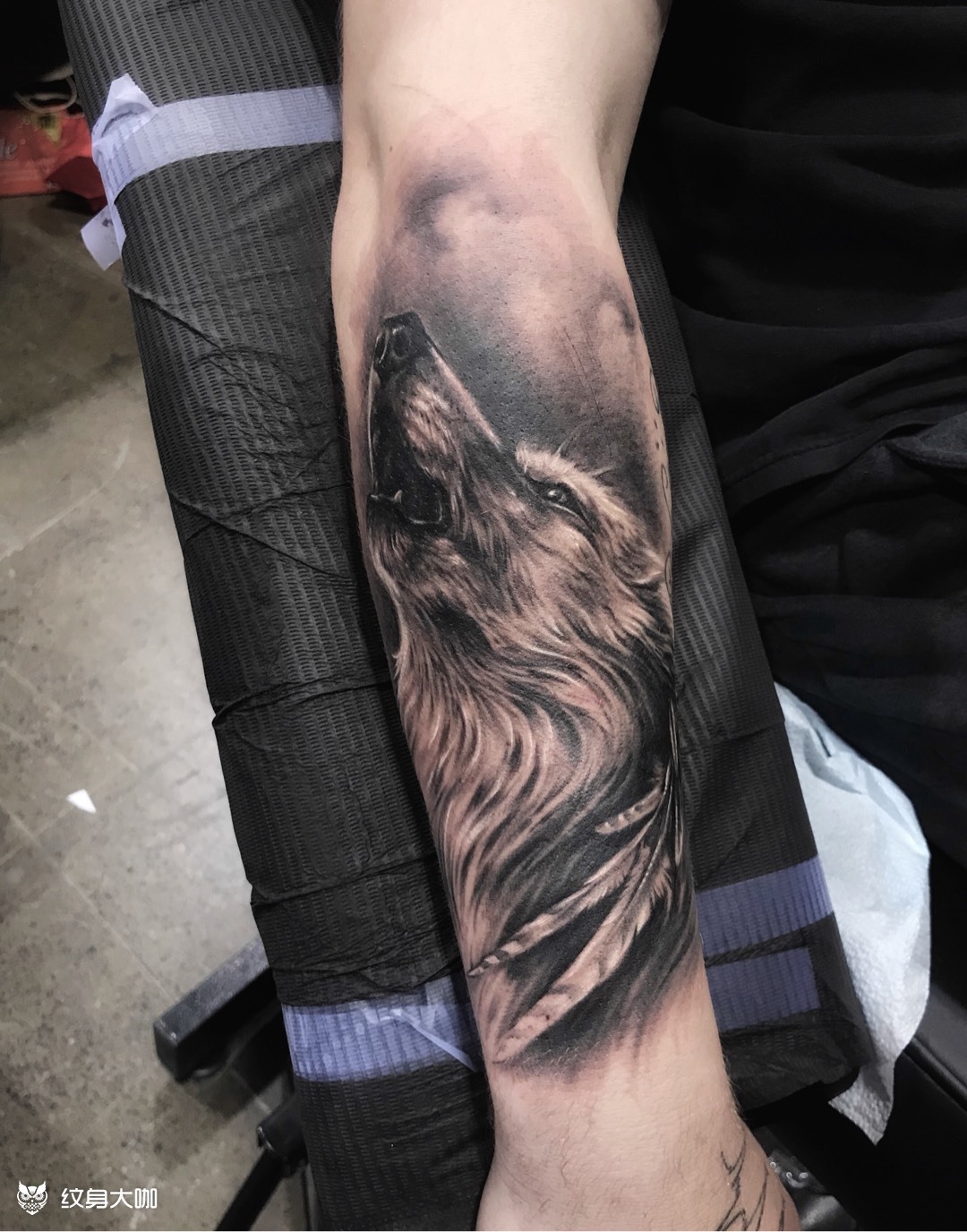 孤狼92_纹身图案手稿图片_海洋的纹身作品集