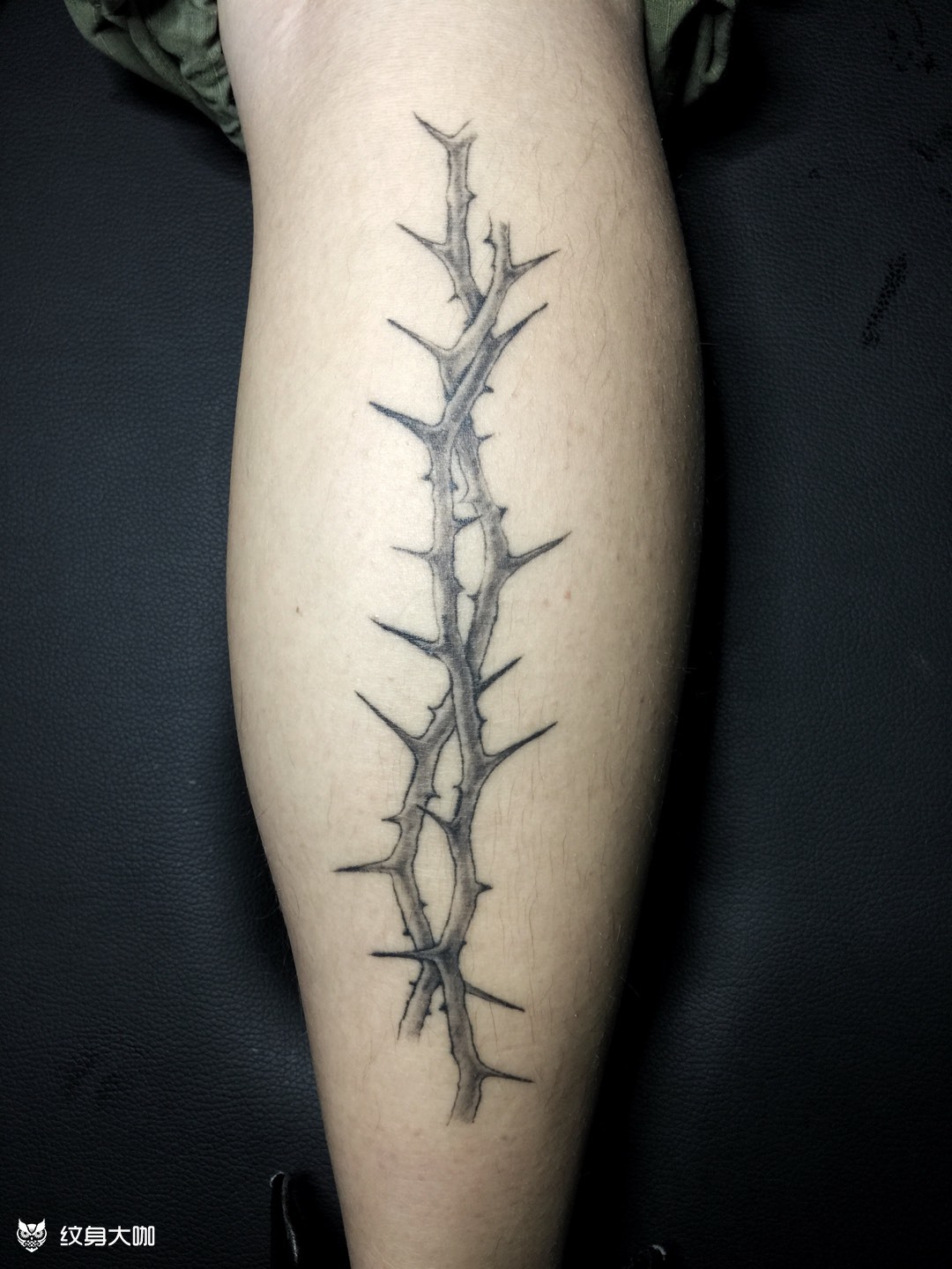 荆棘_纹身图案手稿图片_15tatoo的纹身作品集