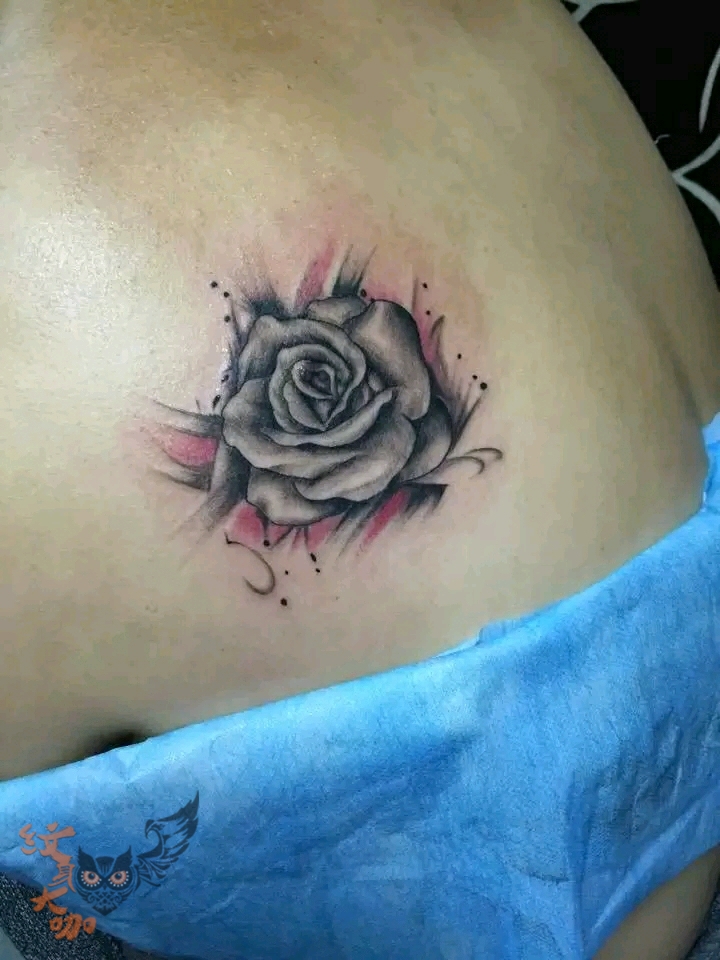 蔷薇花_纹身图案手稿图片_林冬的纹身作品集