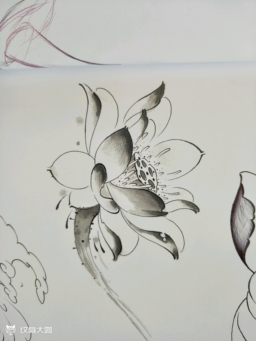 莲花_纹身图案手稿图片_雕影的纹身作品集