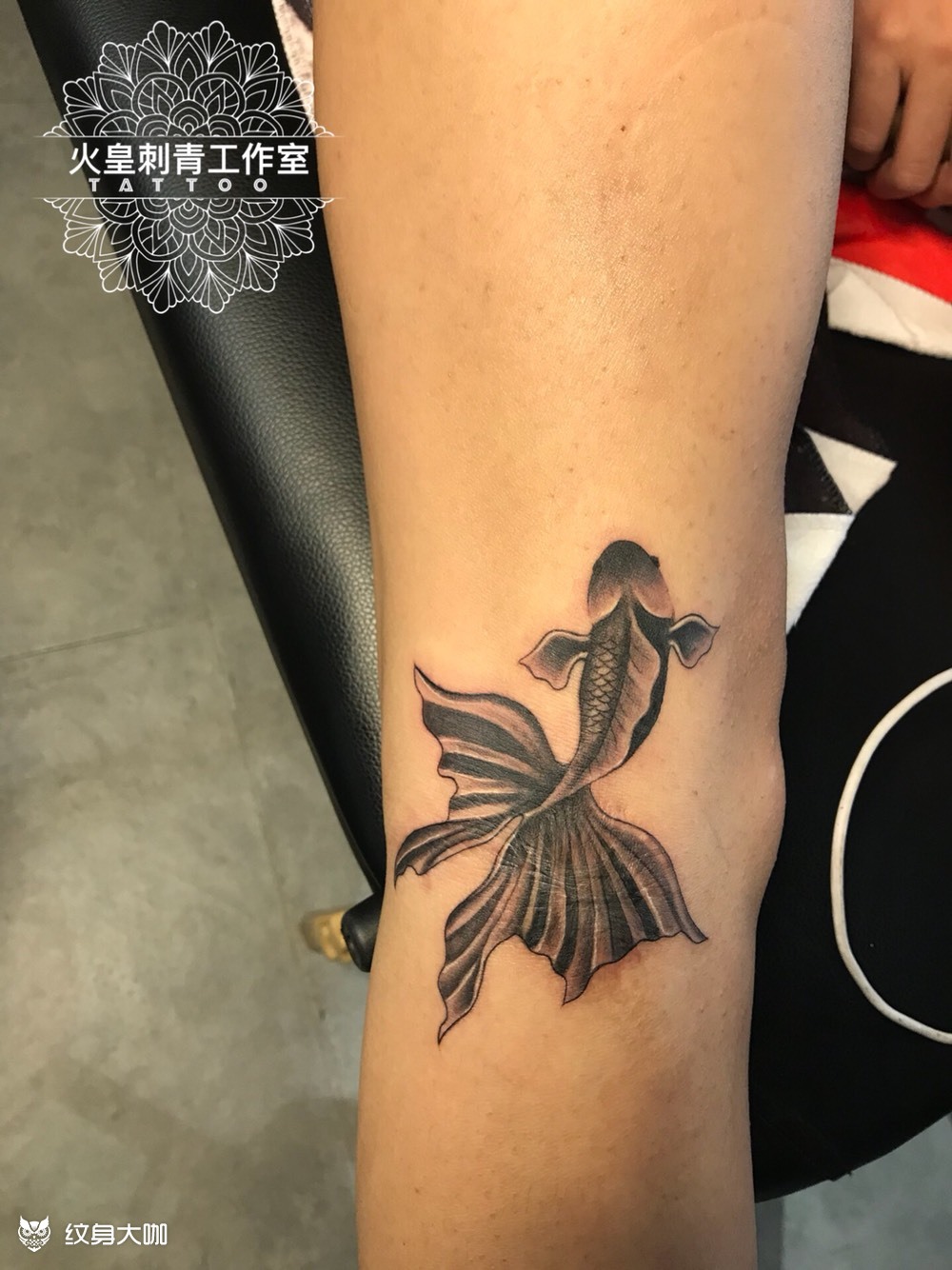 遮疤鱼_纹身图案手稿图片_煌的纹身作品集