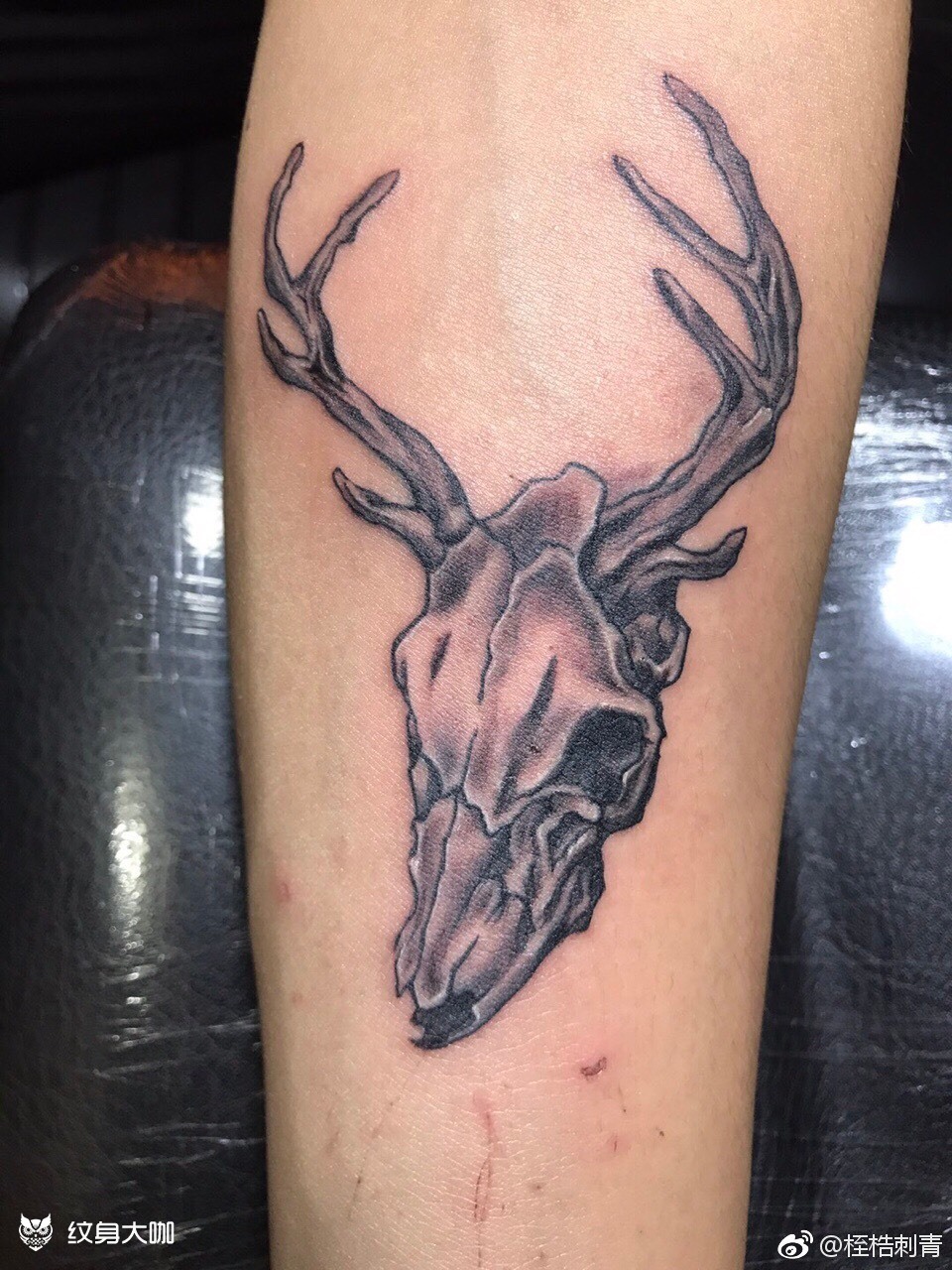 骷髅92羊头_纹身图案手稿图片_郑文彬的纹身作品集