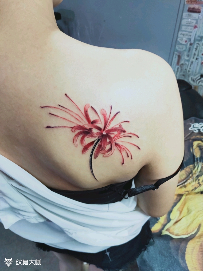 彼岸花_纹身图案手稿图片_谢大拿的纹身作品集