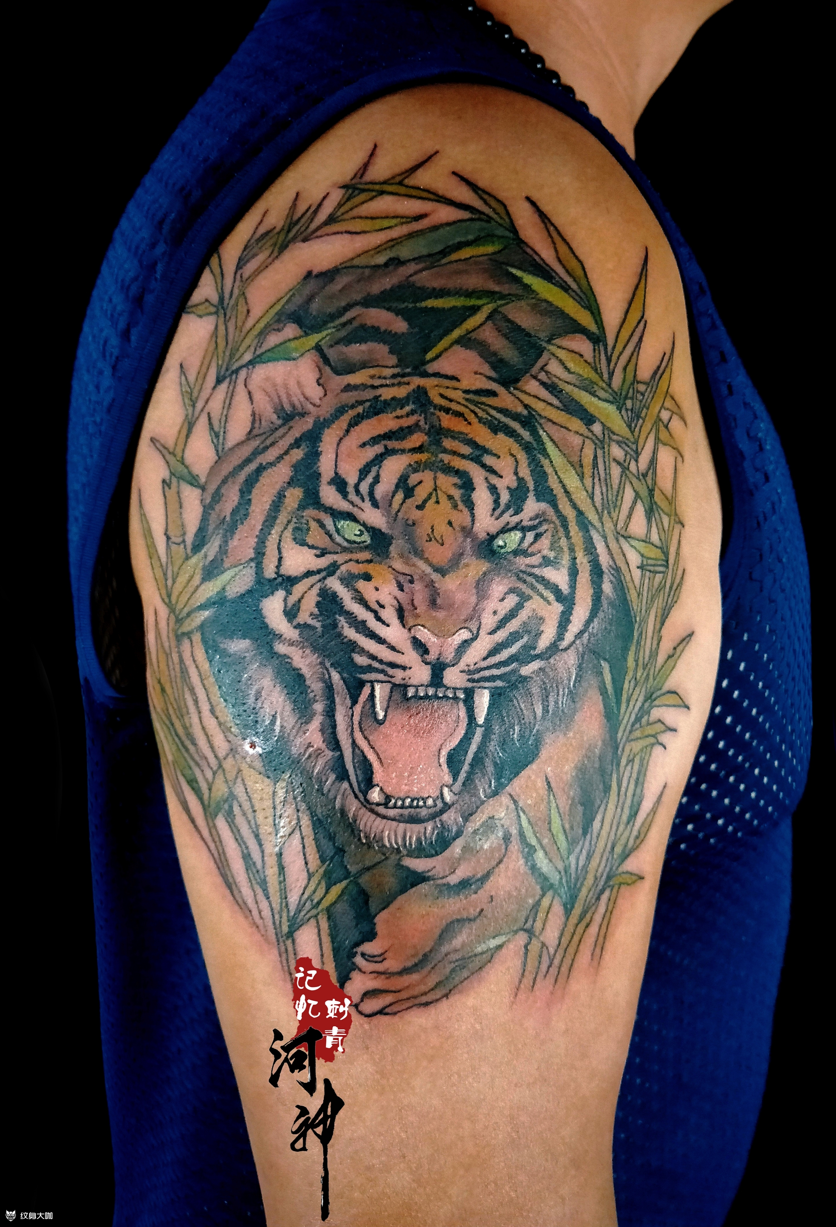 竹林大老虎_纹身图案手稿图片_河神作品持续更新中的纹身作品集