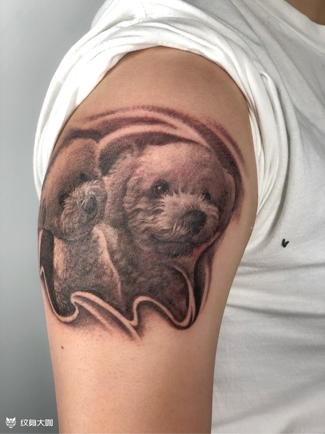 两比熊_纹身图案手稿图片_sunny的纹身作品集