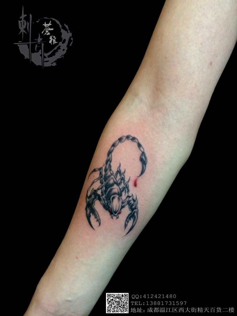小蝎子_纹身图案手稿图片_凡彪的纹身作品集