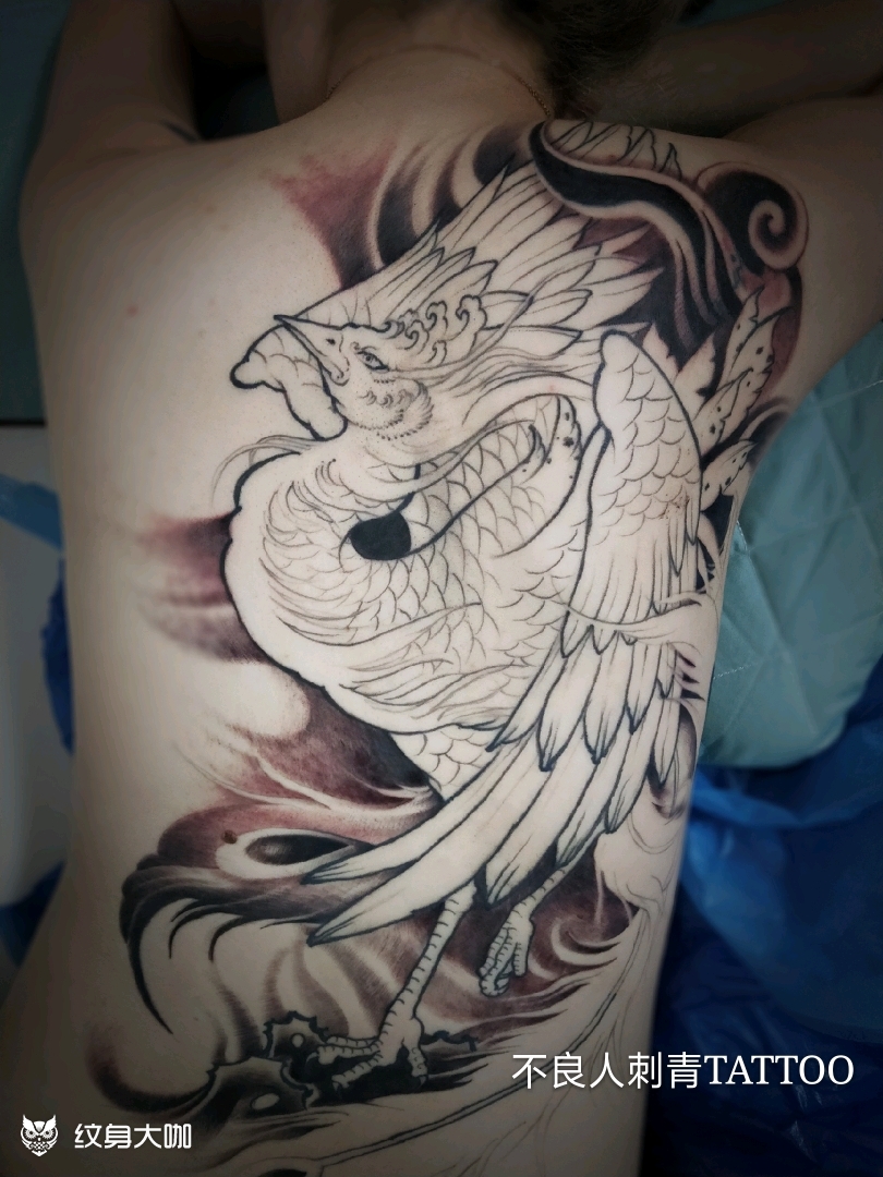 凤凰,未完待续_纹身图案手稿图片_ll的纹身作品集