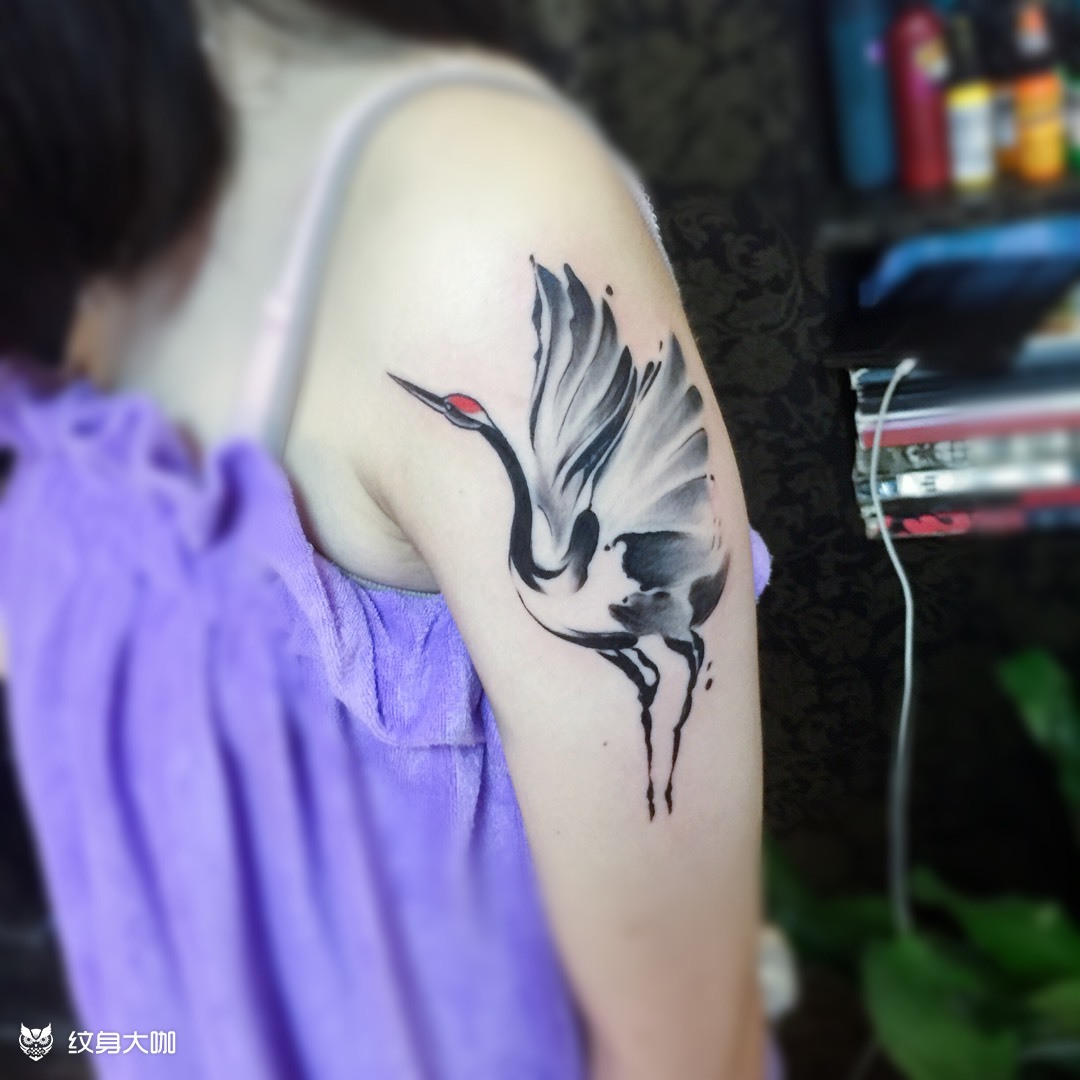 女神鹤_纹身图案手稿图片_et-房子的纹身作品集