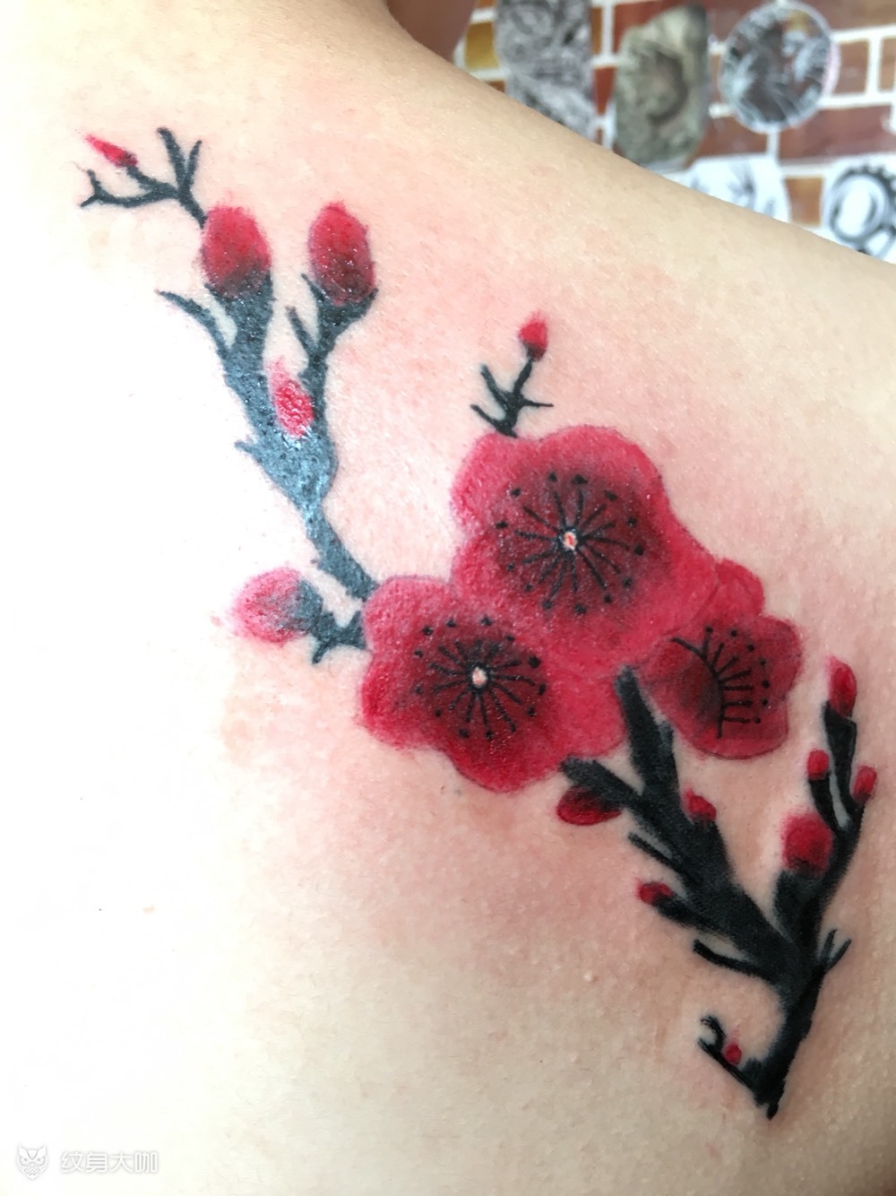 梅花_纹身图案手稿图片_释然的纹身作品集