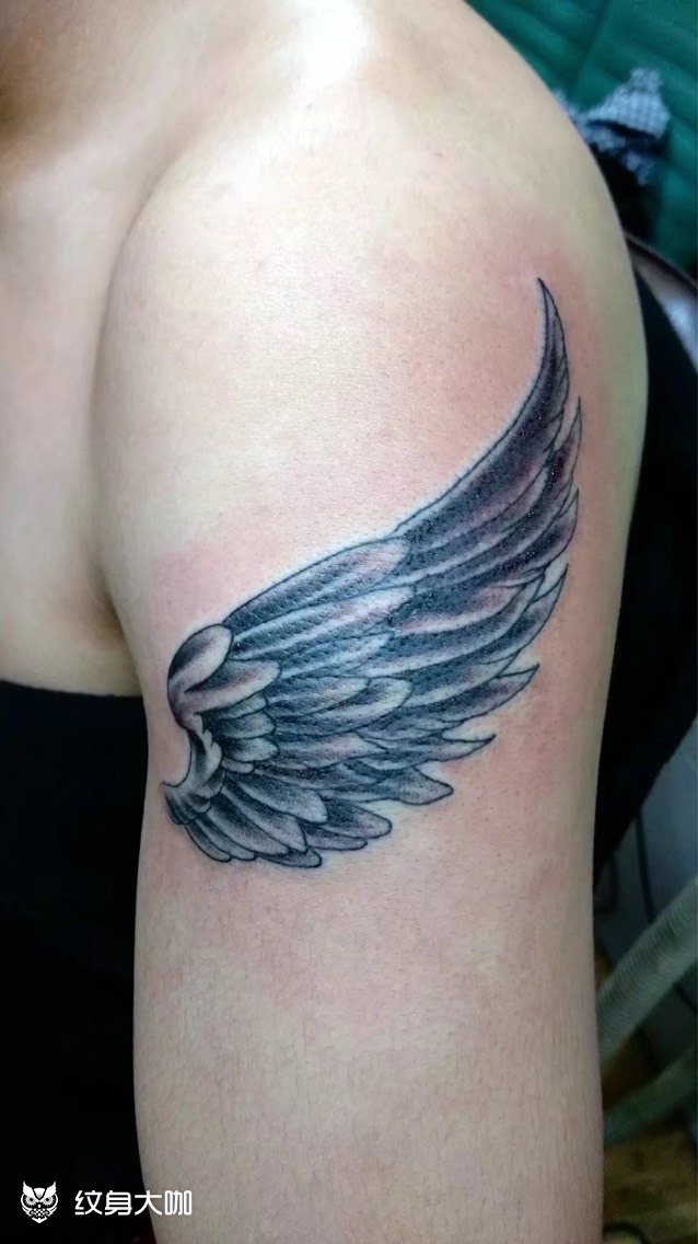 翅膀_纹身图案手稿图片_东刺青纹身均安的纹身作品集