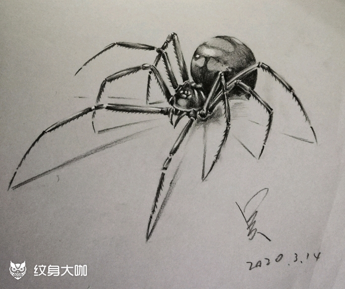黑寡妇蜘蛛(稿)_纹身图案手稿图片_叉叉的纹身作品集