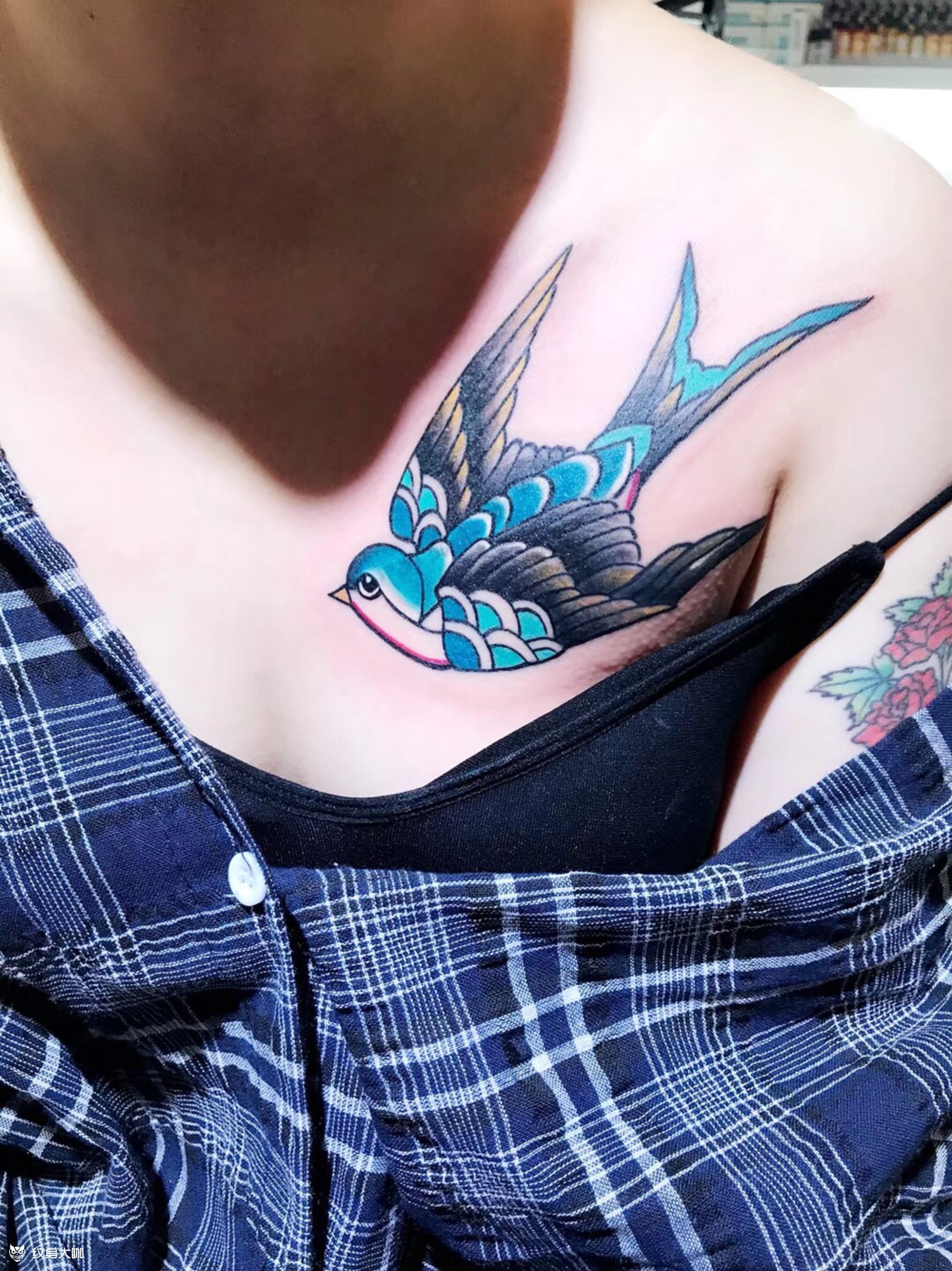 覆盖(海燕)_纹身图案手稿图片_文冰的纹身作品集