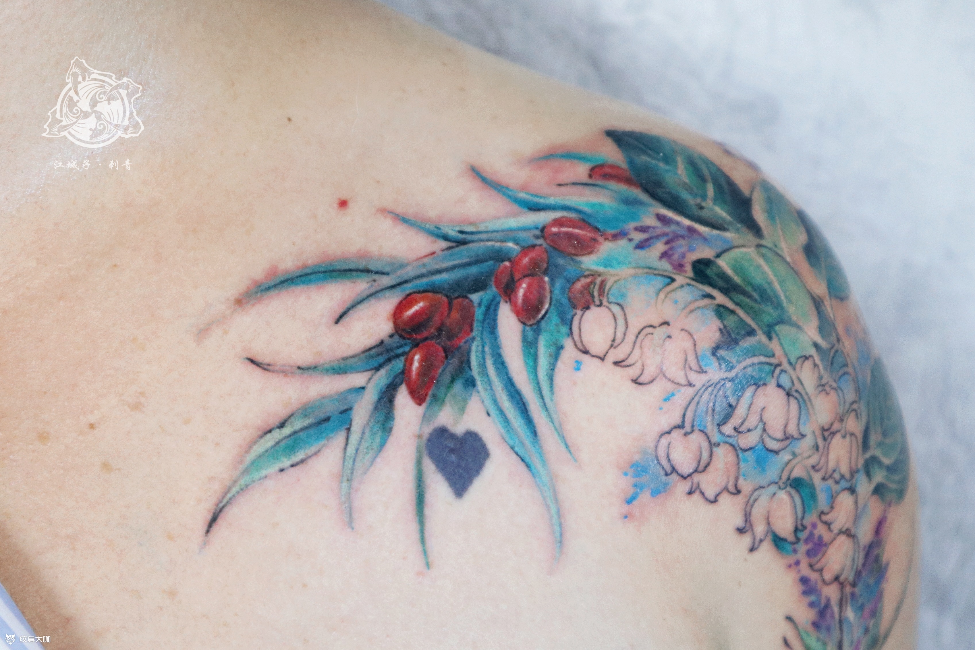 水彩桉树 咖啡豆桉树叶 咖啡_纹身吧社区 - 纹身大咖