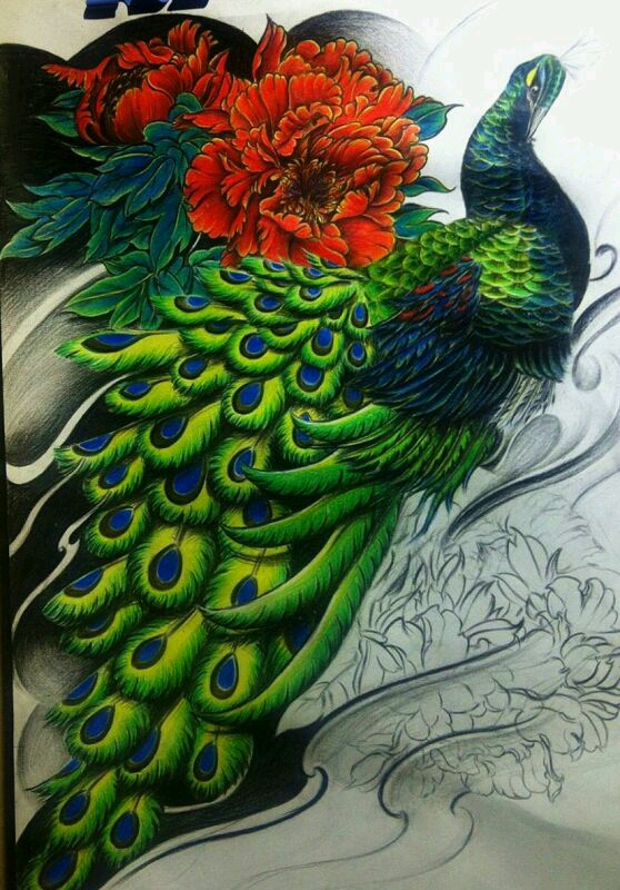 孔雀_纹身图案手稿图片_冷墨的纹身作品集