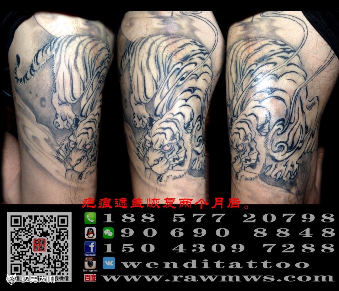饮水虎~无上原画_纹身图案手稿图片_张跃文的纹身作品集