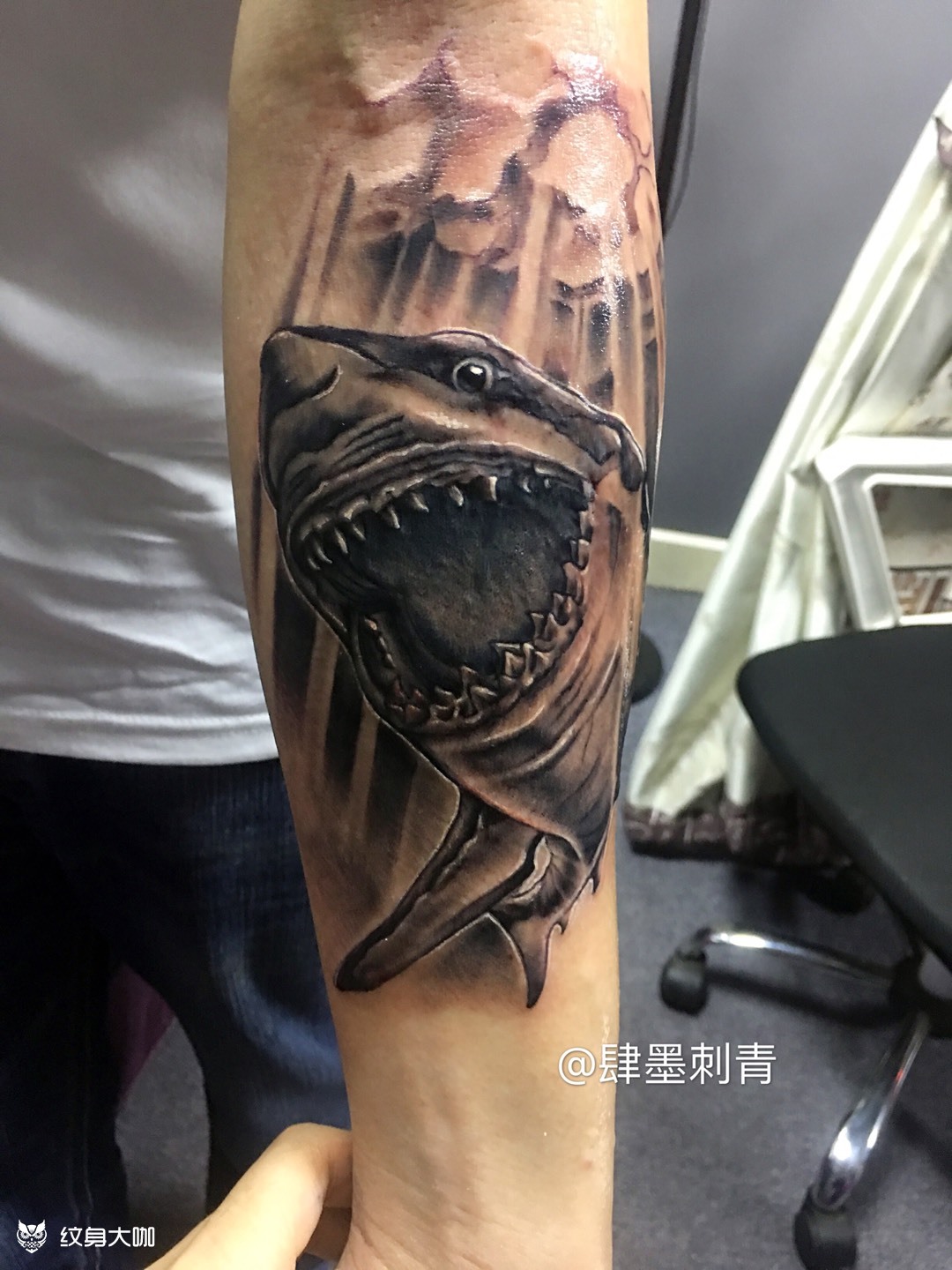 鲨鱼_纹身图案手稿图片_陈小松的纹身作品集