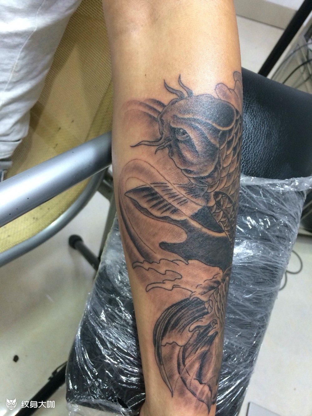 小手臂招财鲤_纹身图案手稿图片_彭毅的纹身作品集