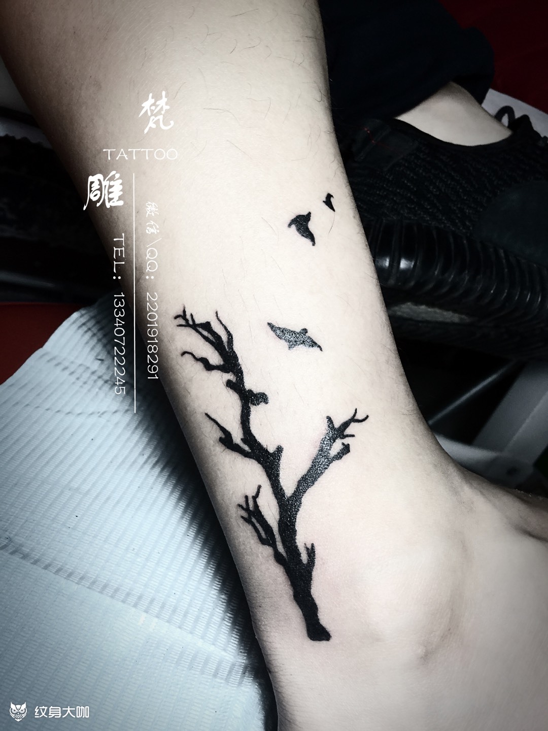 枯树_纹身图案手稿图片_燕子的纹身作品集