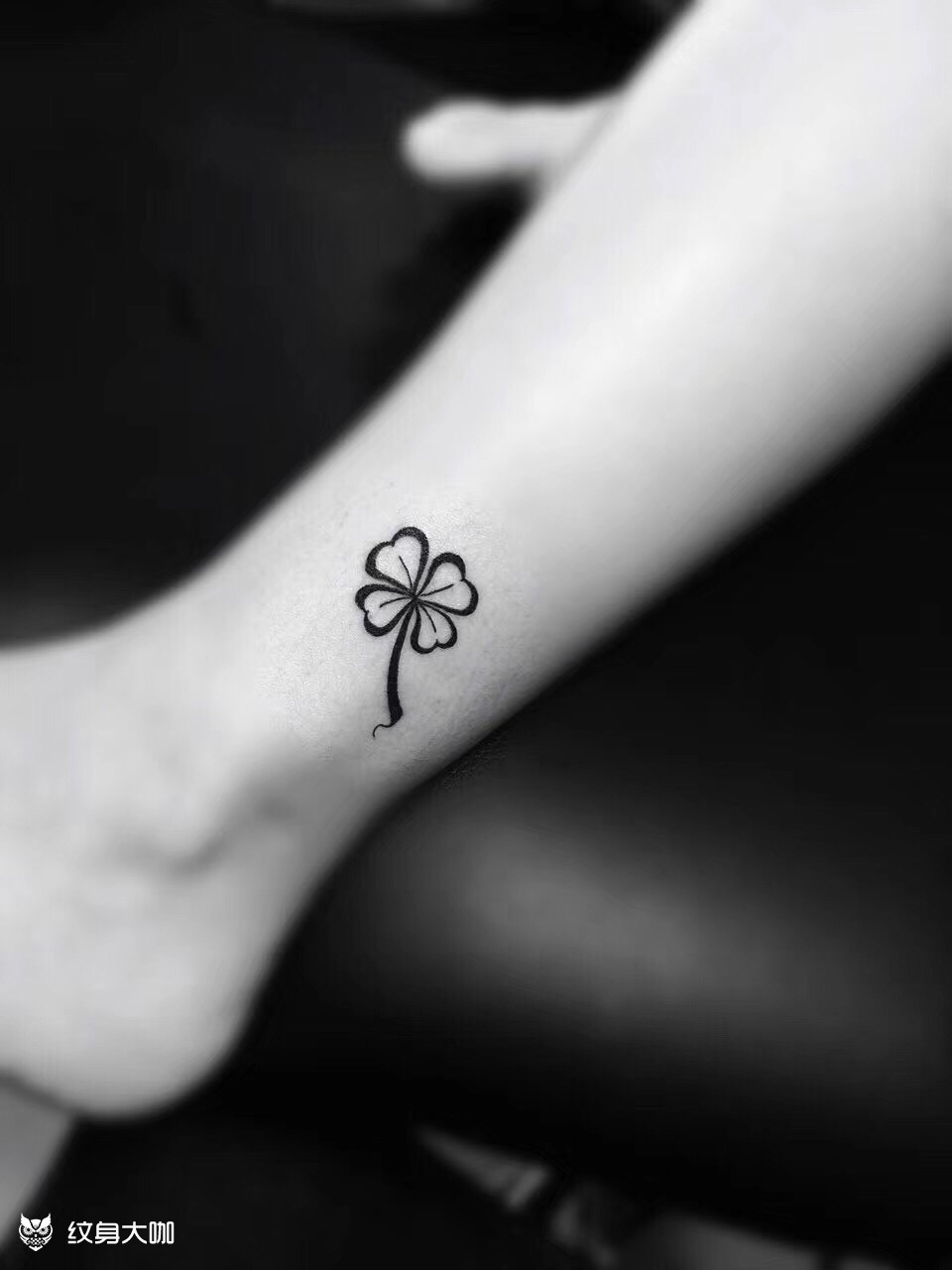 四叶草_纹身图案手稿图片_龙龙的纹身作品集