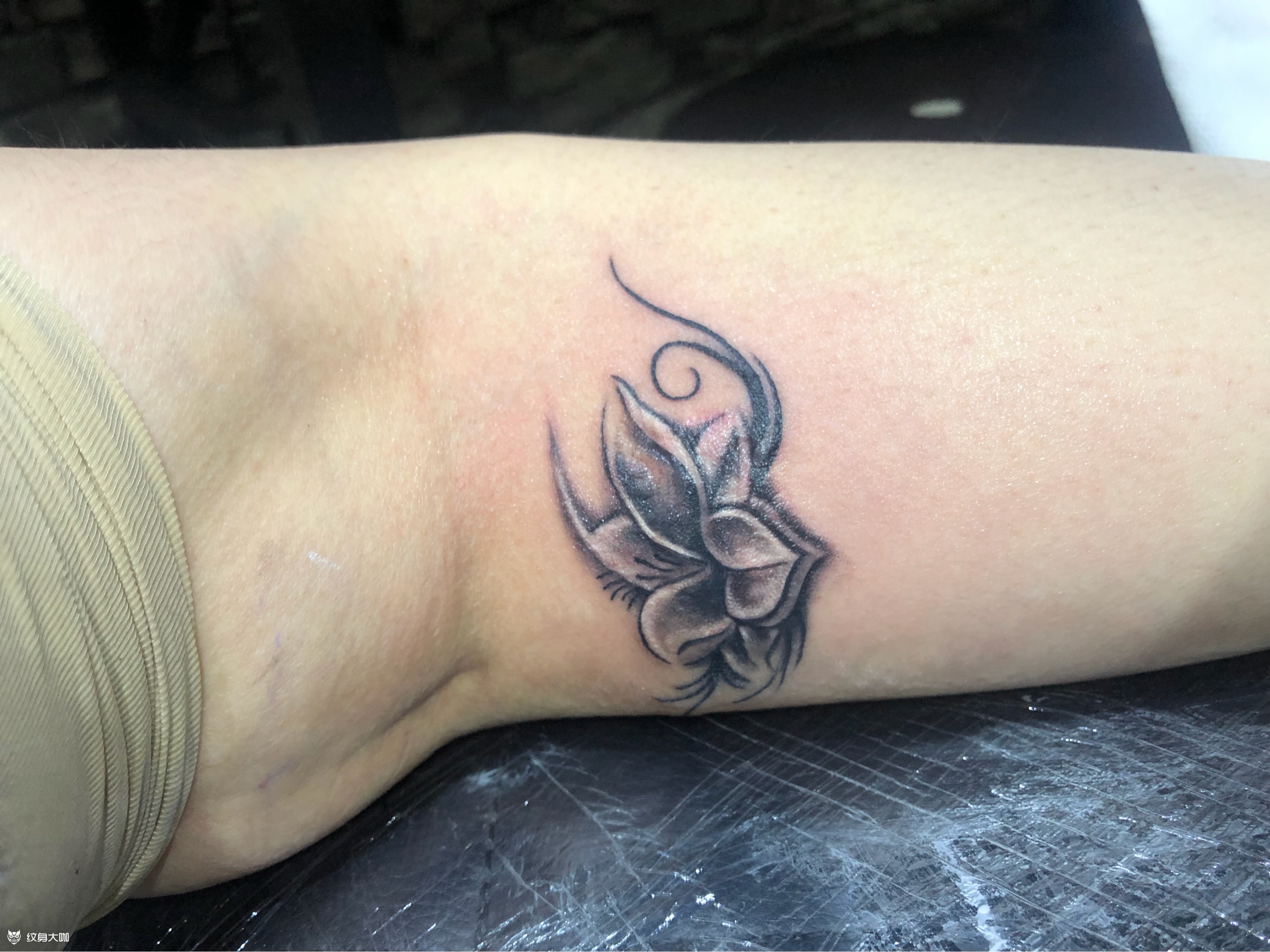 小花盖疤_纹身图案手稿图片_可儿@的纹身作品集