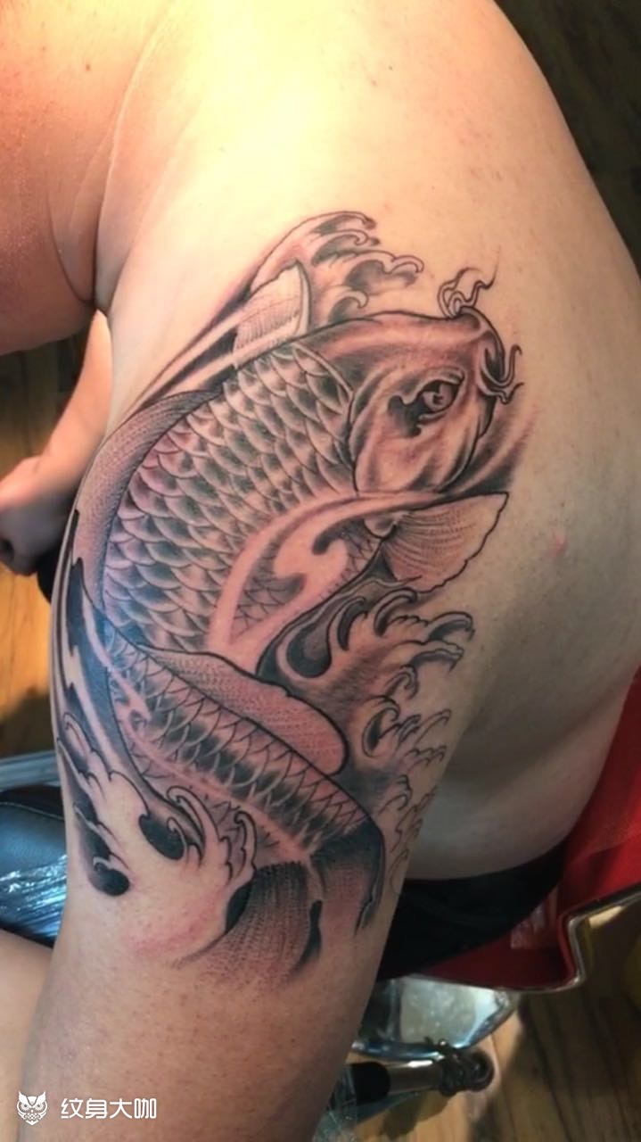 鲤鱼_纹身图案手稿图片_徐鹏的纹身作品集