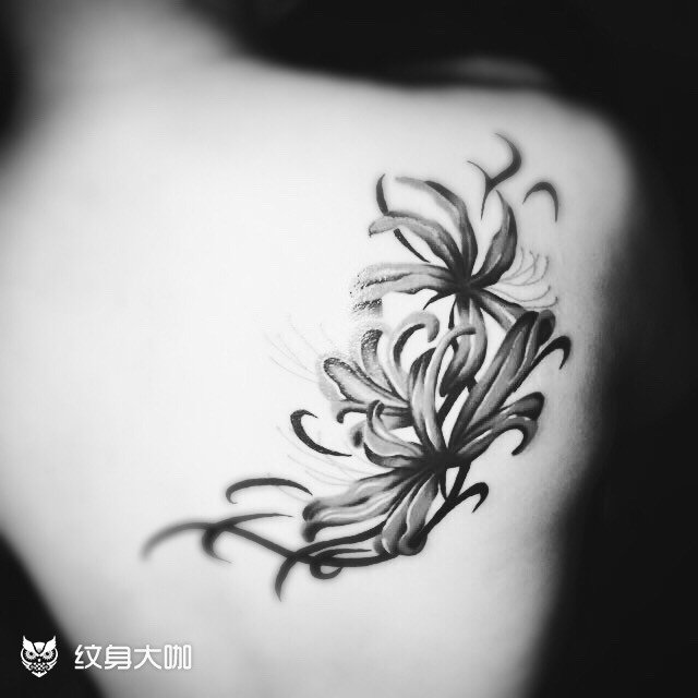 彼岸花_纹身图案手稿图片_金萌妮的纹身作品集