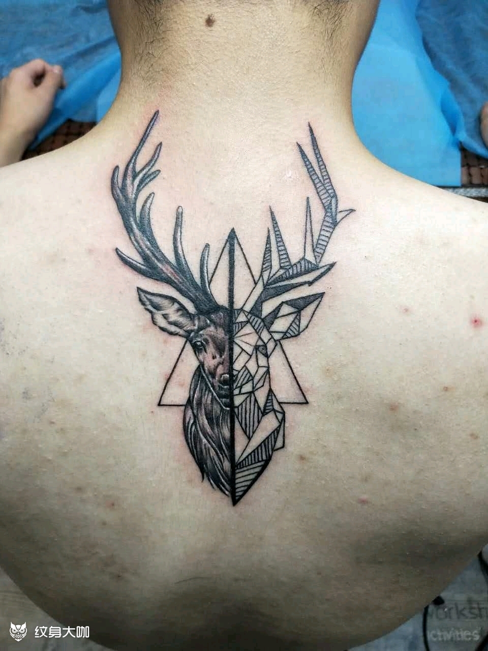 胸口鹿头纹身图案图片