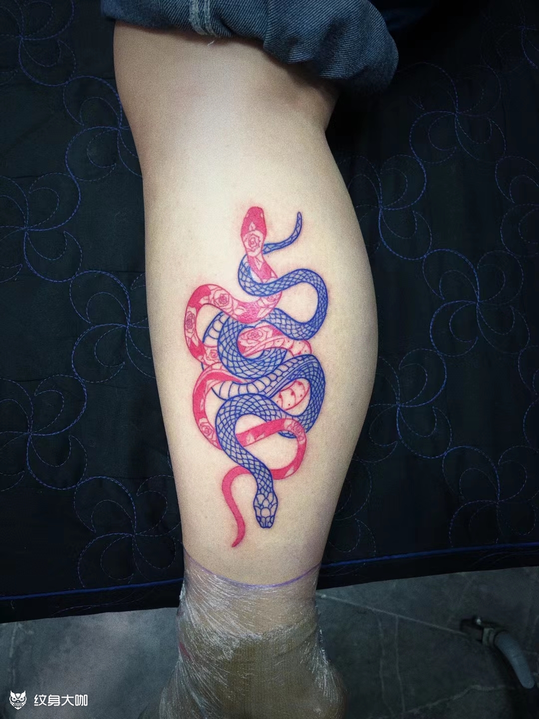 素蛇_纹身图案手稿图片_极一龙的纹身作品集