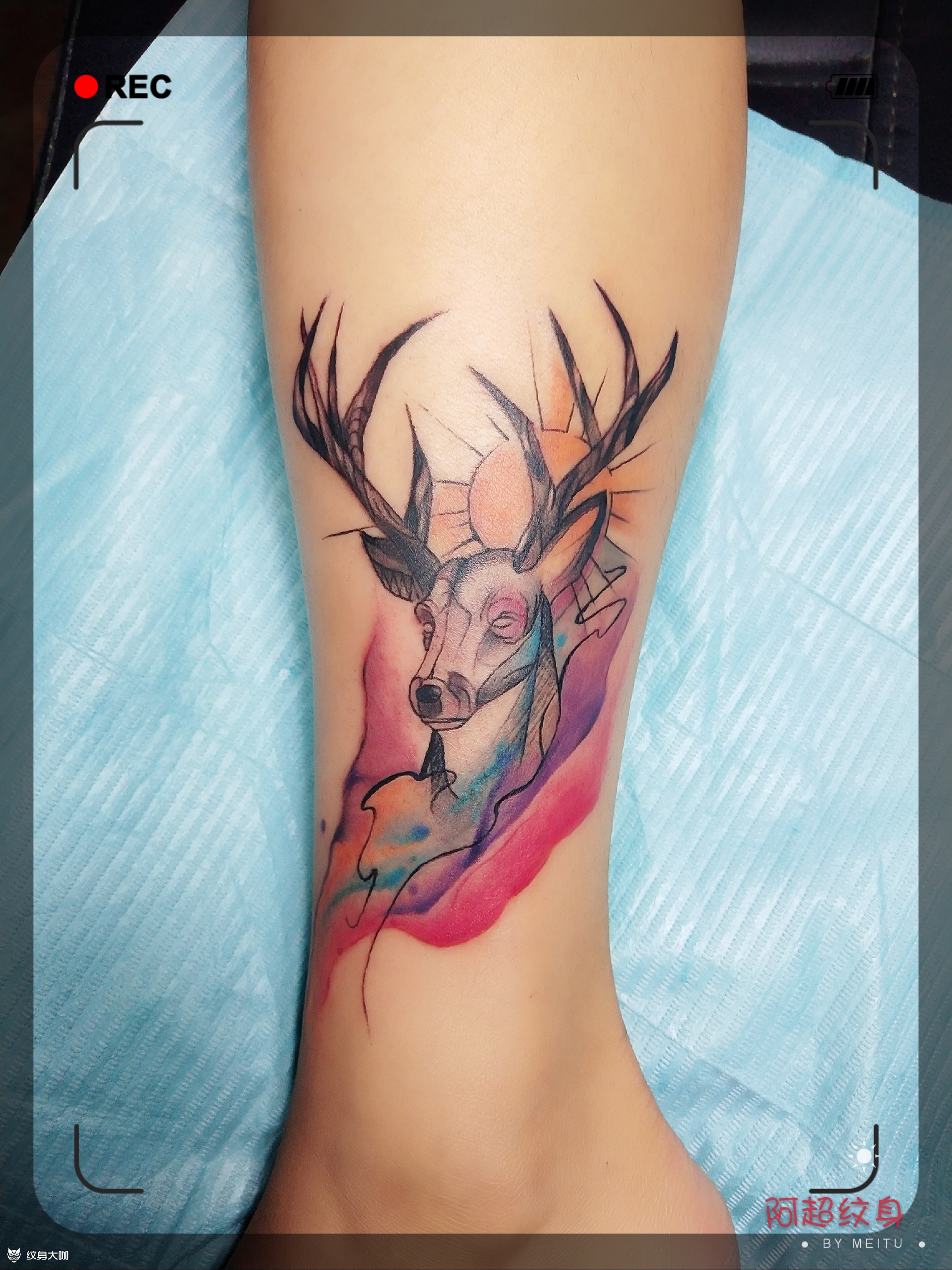 小腿麋鹿_纹身图案手稿图片_lc·刺文化(阿超)的纹身作品集