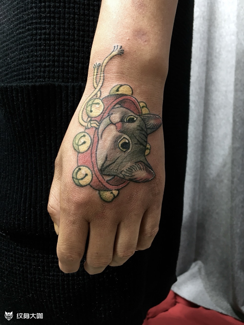 猫咪手背_纹身图案手稿图片_于峻康0160066168686162