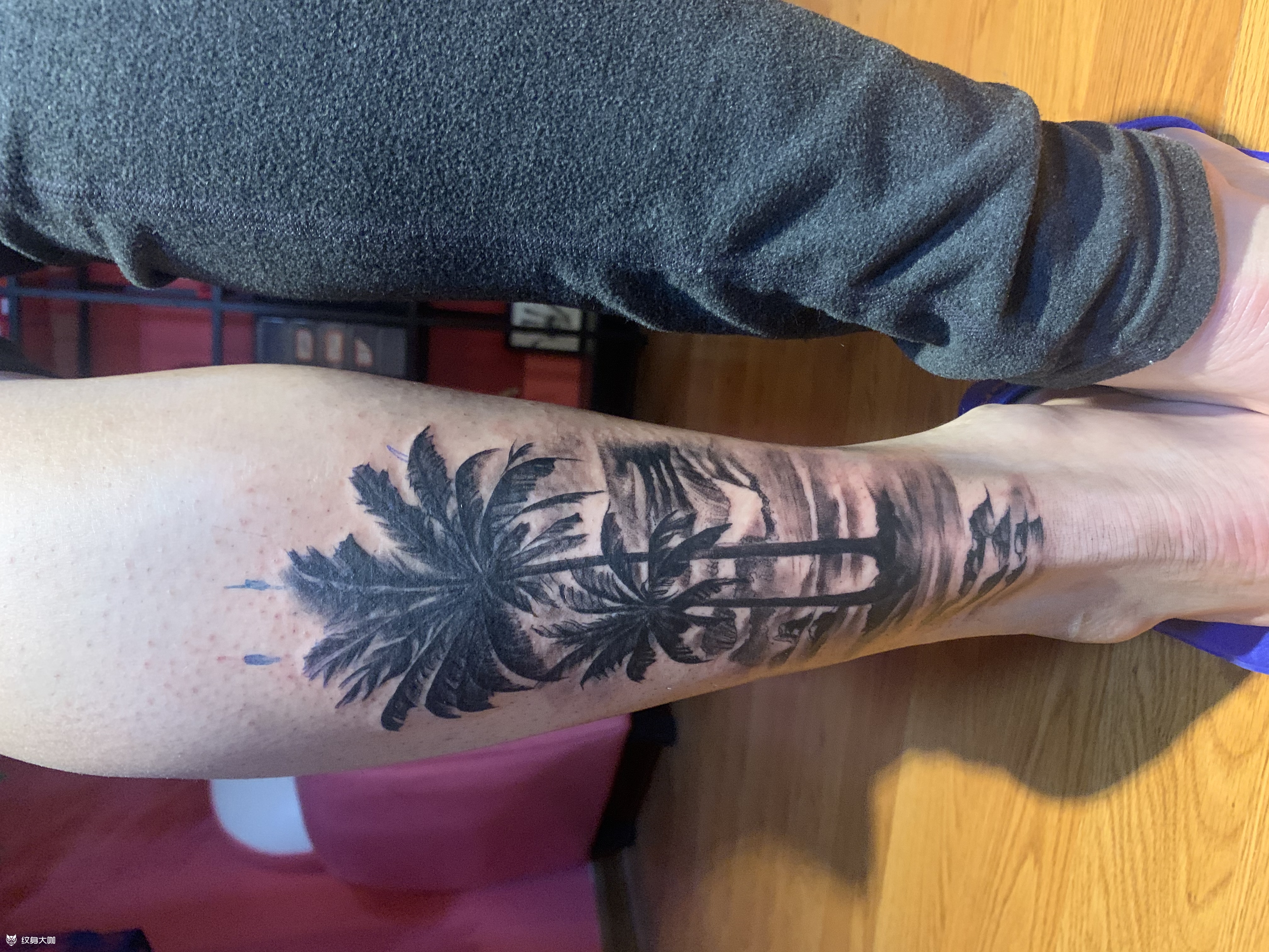 椰子树_纹身图案手稿图片_随蓝的纹身作品集