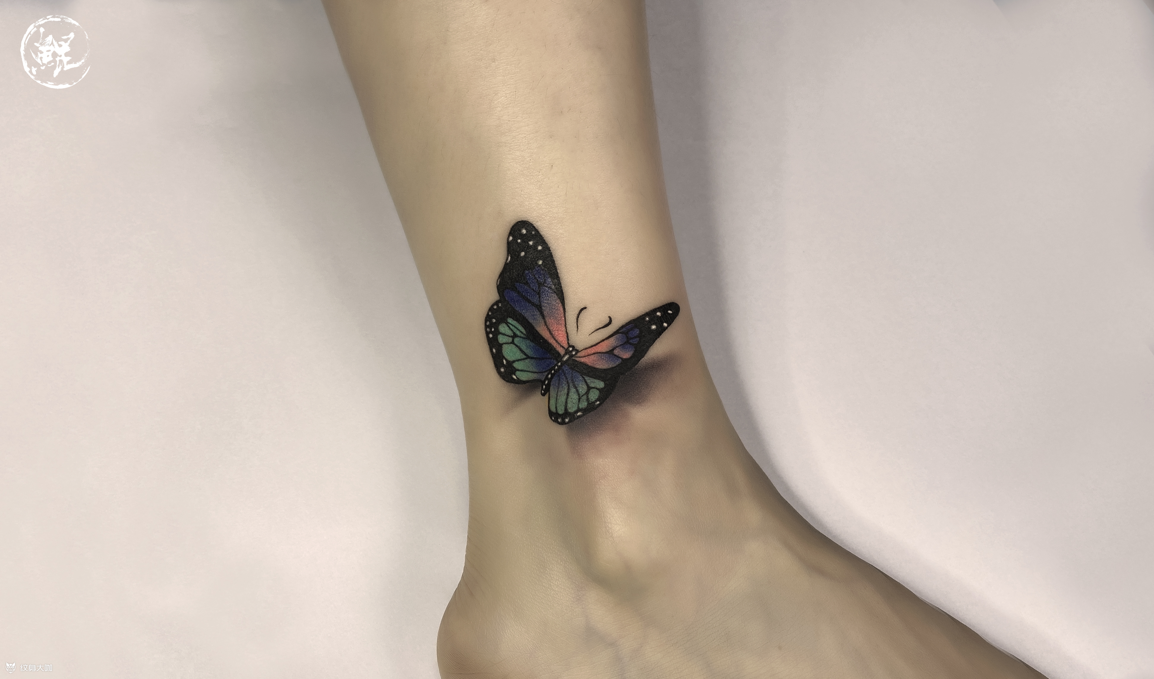 蝴蝶(脚踝)_纹身图案手稿图片_北鸣的纹身作品集
