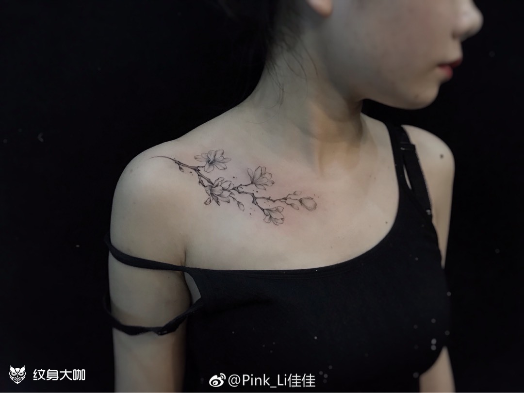 锁骨樱花_纹身图案手稿图片_pink_li的纹身作品集
