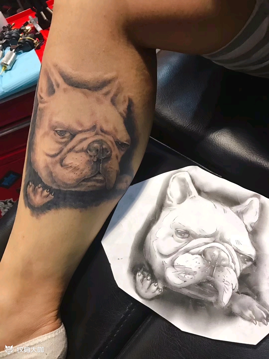 斗牛犬_纹身图案手稿图片_gang的纹身作品集