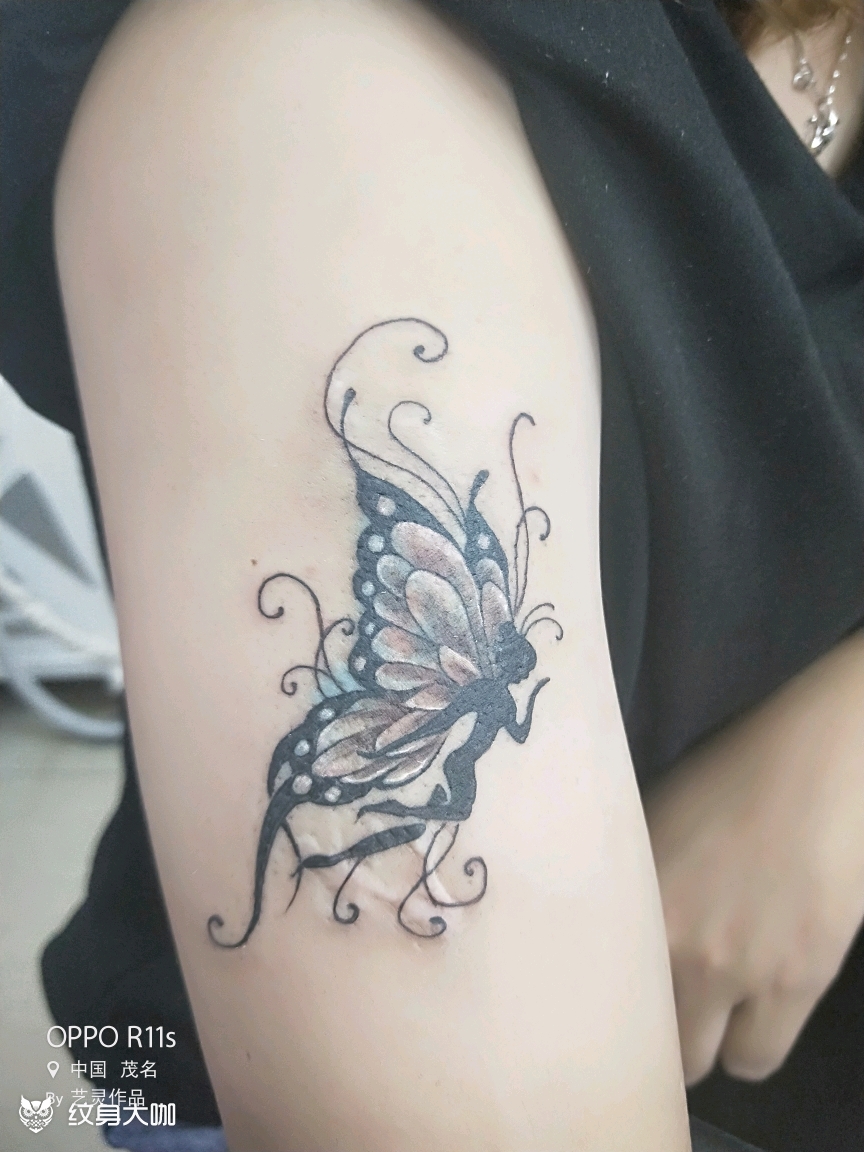 蝴蝶仙子_纹身图案手稿图片_妙妙的纹身作品集