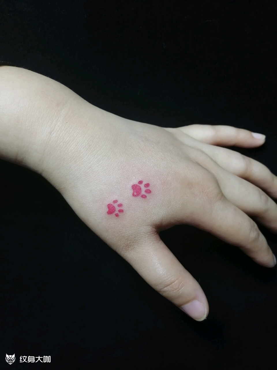 猫爪_纹身图案手稿图片_匠人精神-奉先传承的纹身作品集