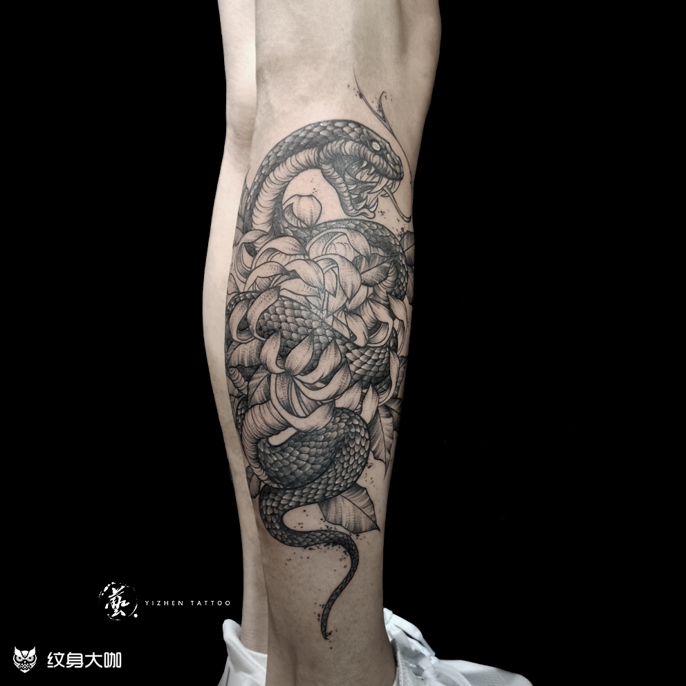 传统富贵菊花蛇纹身图片