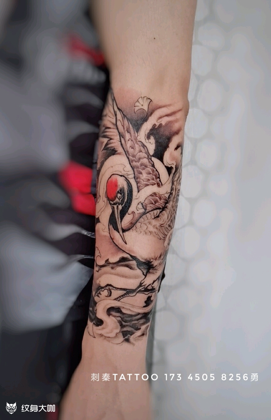 仙鹤包小臂_纹身图案手稿图片_王成全的纹身作品集