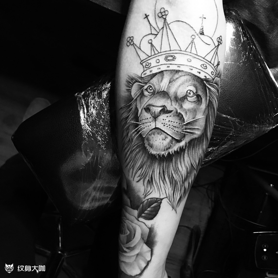 狮子_纹身图案手稿图片_张斌的纹身作品集