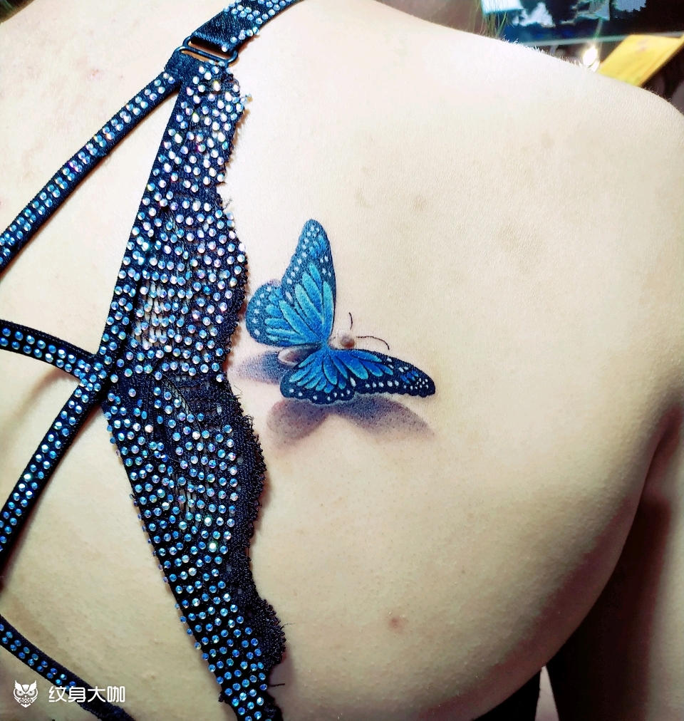 利用黑痣纹蝴蝶_纹身图案手稿图片_云中雕龙的纹身作品集