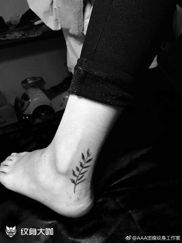 柳叶_纹身图案手稿图片_角角.的纹身作品集